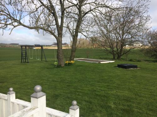 Garden seen from terrace