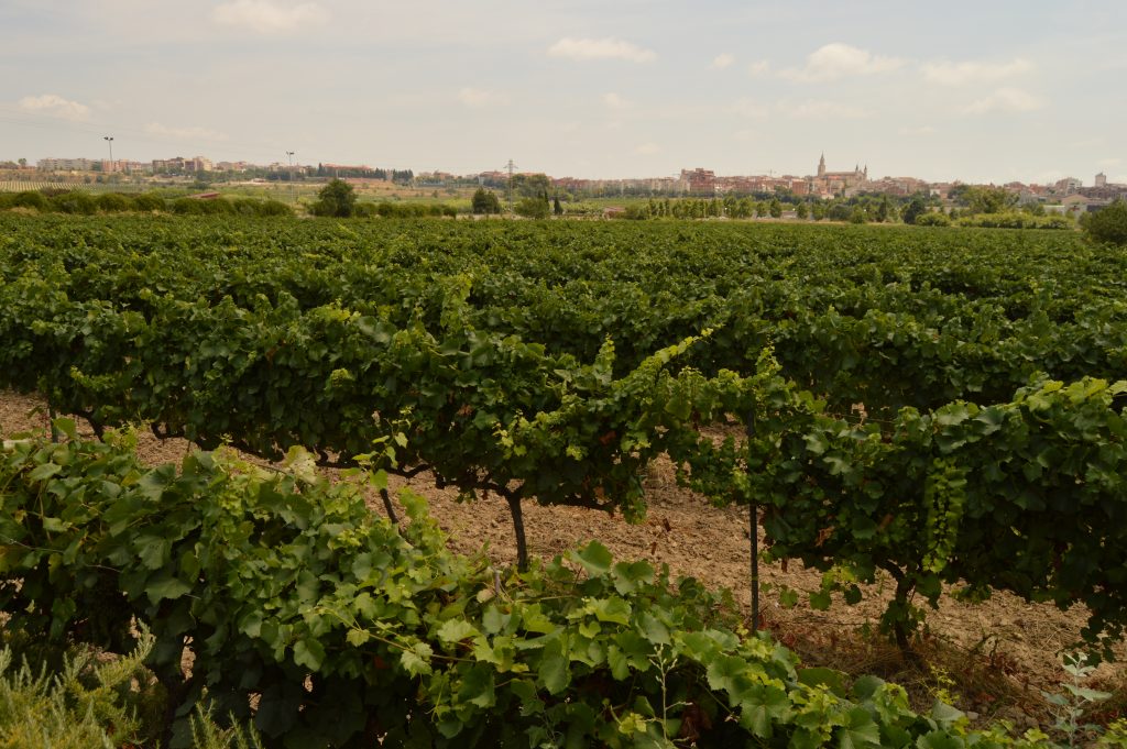 View of Vilafranca