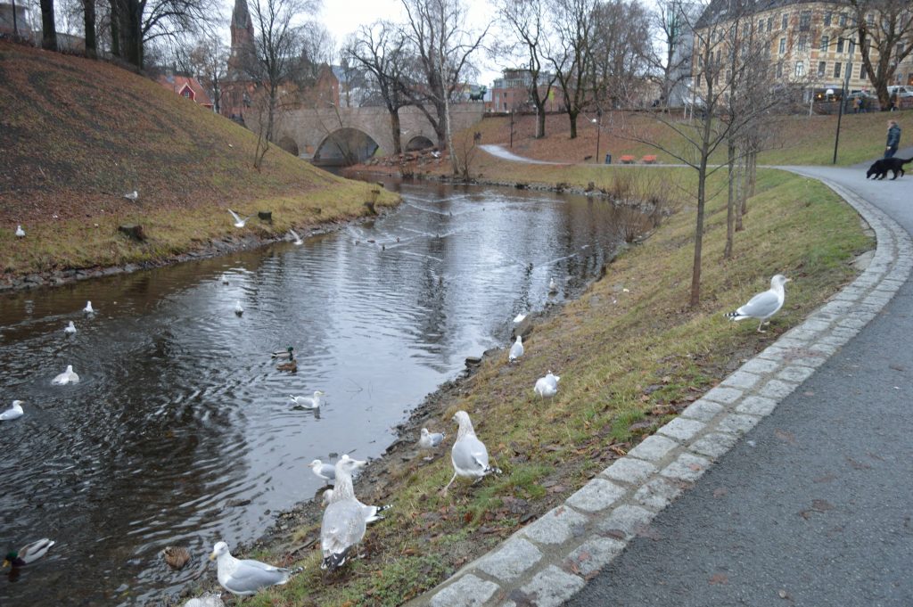 Akerselva river