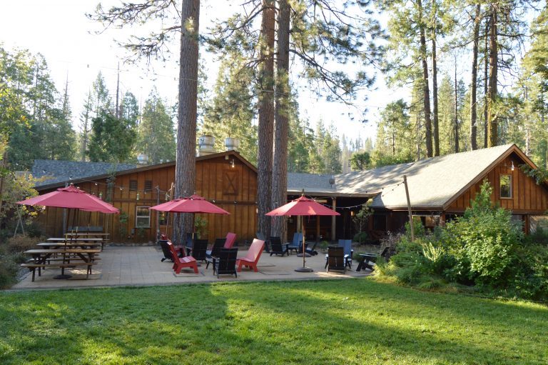 Evergreen Lodge Where To Sleep In Yosemite Park My Traveling Cam   DSC 0016 768x511 