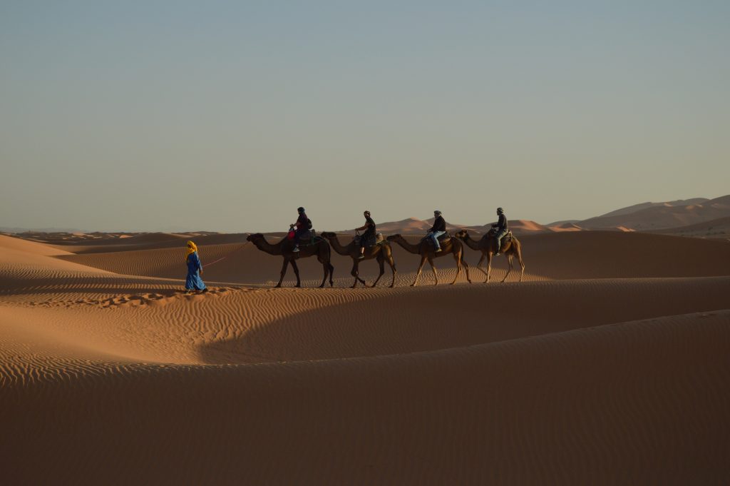 Merzouga desert