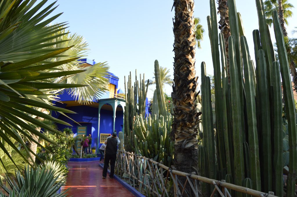 Majorelle Garden 