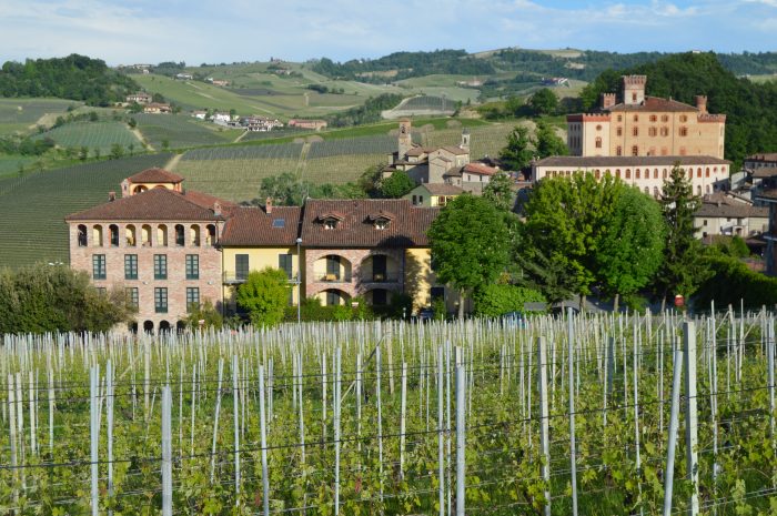 Barolo region