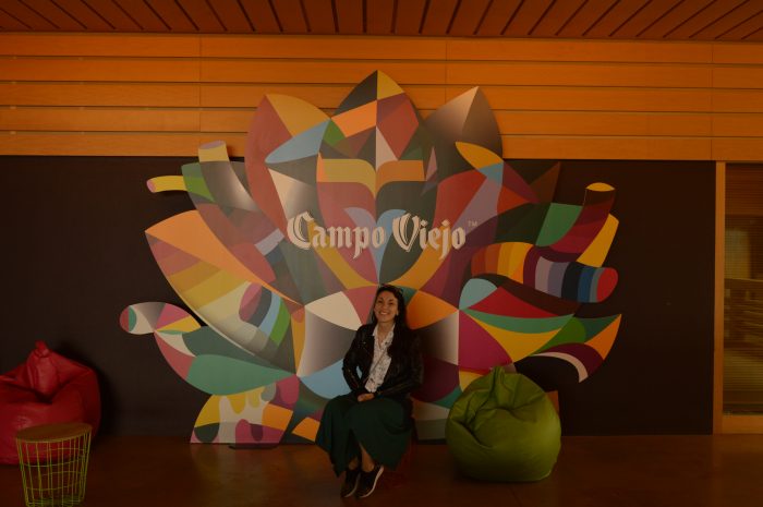 Campo Viejo Winery