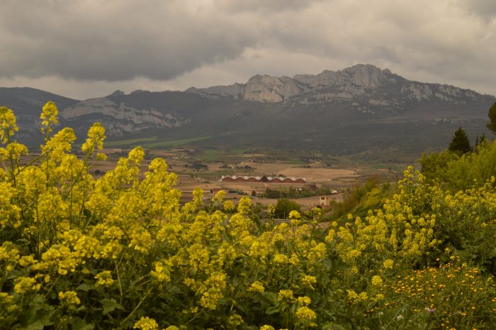 Ysios winery (from Laguardia)