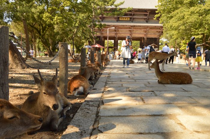 Nandaimon Gate of Tōdaiji