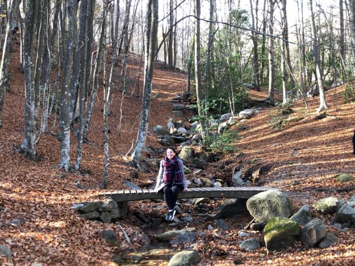 Montseny park