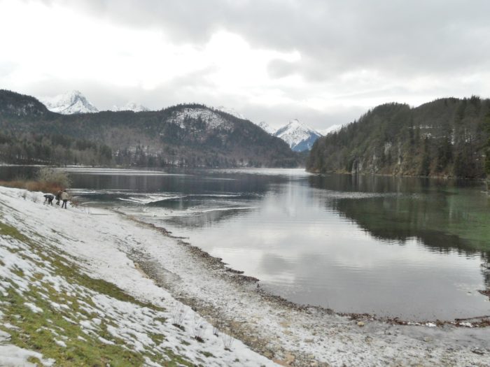 Alpsee lake