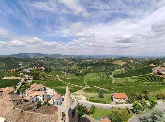 Langhe wineries