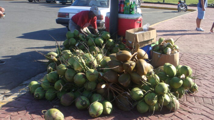 Coconut water