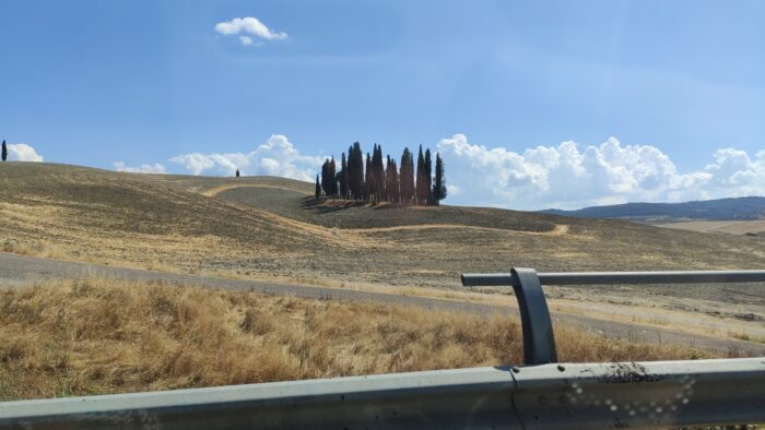 Cipressi di San Quirico d'Orcia