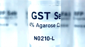 GST Selector