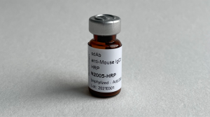 sdAb anti-Mouse IgG1