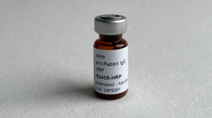 sdAb anti-Rabbit IgG