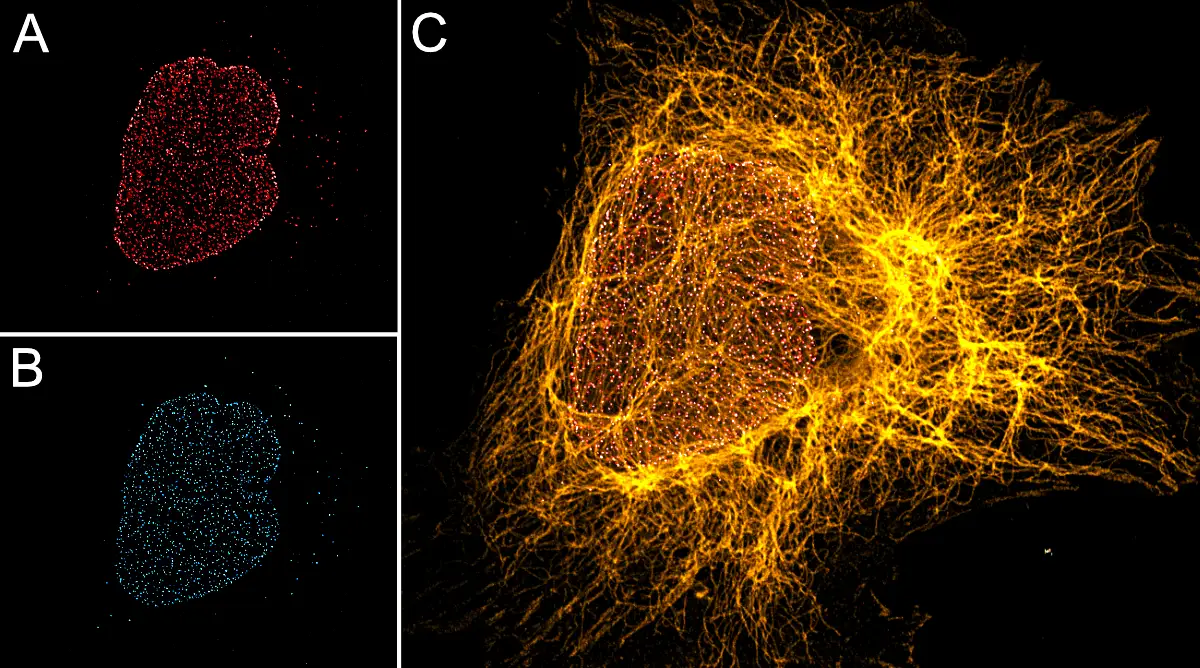 FluoTag®-X2 anti-Rabbit IgG - NanoTag Biotechnologies