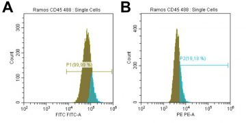 FluoTag-X2 anti-CD45 At488