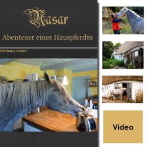 Hauspferd Nasar