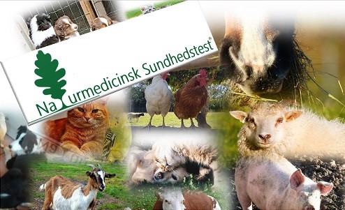 Forside   Naturmedicinsk Sundhedstest