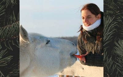 Aktivitet 22: Vintersolståndskalas