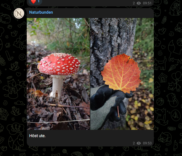 Naturbunden på Telegram