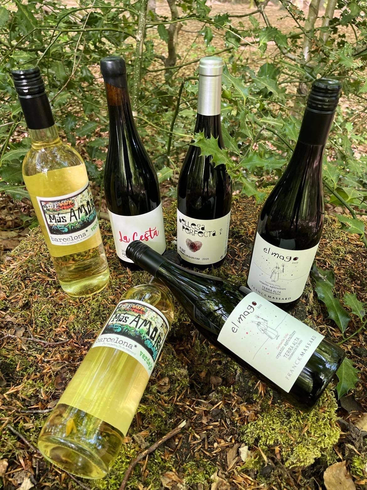 Smagekasse med økologiske og smukke vine af Franck Massard
