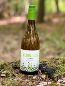 Økologiske og bæredygtige vine fra små europæiske vingårde - NatureWines.dk 1 Plantaranas Blanco (hvidvin) - økologisk og vegansk hvidvin.