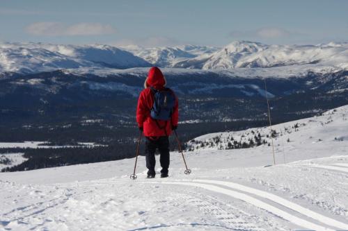 Utsikt over Skirvedalen II