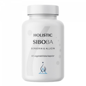 Holistic SIBOBA - berberin och allicin, 60 kapslar