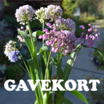 Gavekort