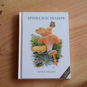 spiselige svampe