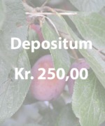 Depositum på Naturplanteskolen