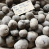 Læggekartofler - Blå Kongo