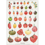 Plakat med Tomater