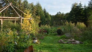 Skovhave - Naturplanteskolen