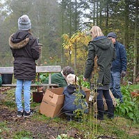 Permakultur i børnehøjde på Naturplanteskolen