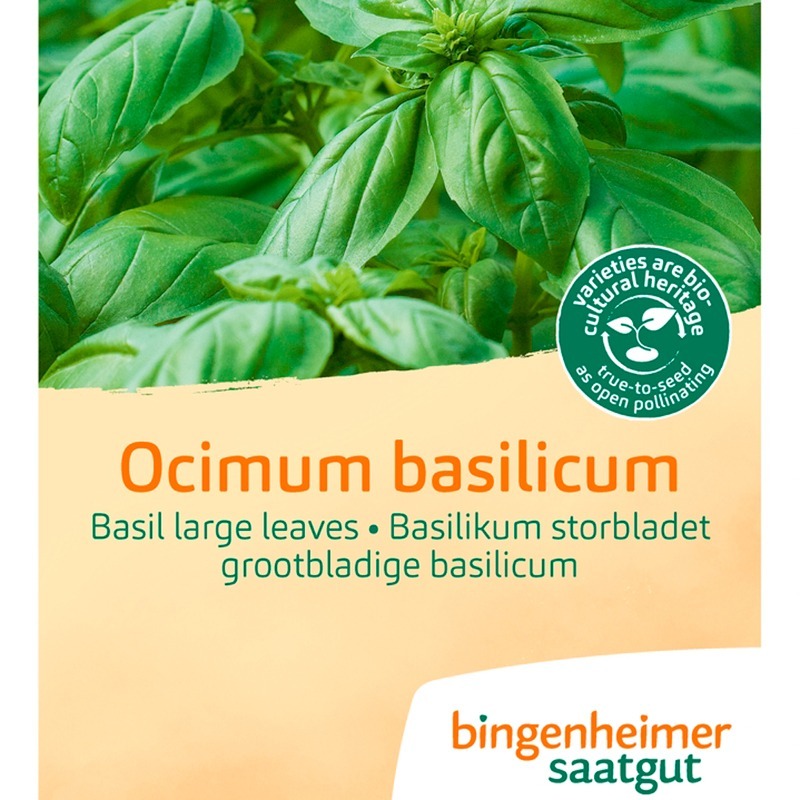 Basilikum Storbladet (frø) - Naturplanteskolen