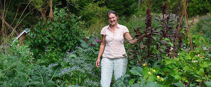 Aiah Noack, Naturplanteskolen