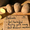 Læggekartoffel Bellinda