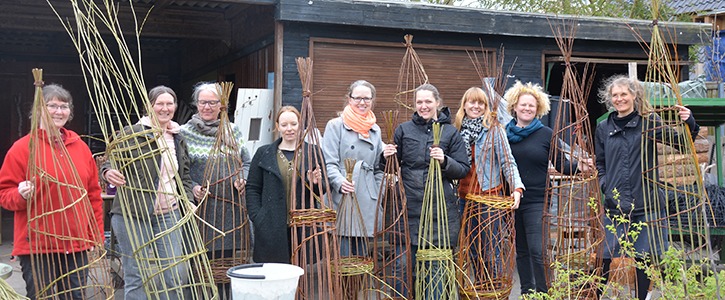 Flet dit eget bønnestativ på Naturplanteskolen