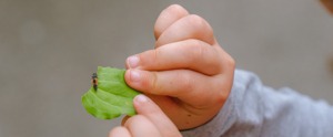 Biodiversitetsdag på Naturplanteskolen