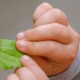 Biodiversitetsdag på Naturplanteskolen