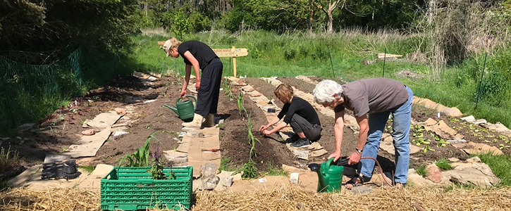 No dig Køkkenhave-kursus på Naturplanteskolen