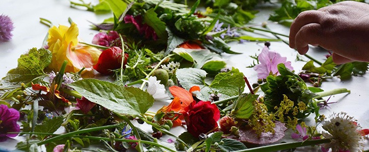 Sommeraften på Naturplanteskolen