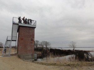 Udsigt over Mellemsøen fra det gamle pumpehus.