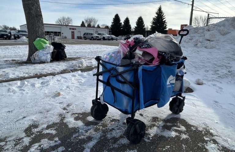 A cart of belongings in front of a snowbank.