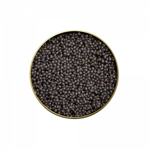 beluga sturgeon caviar