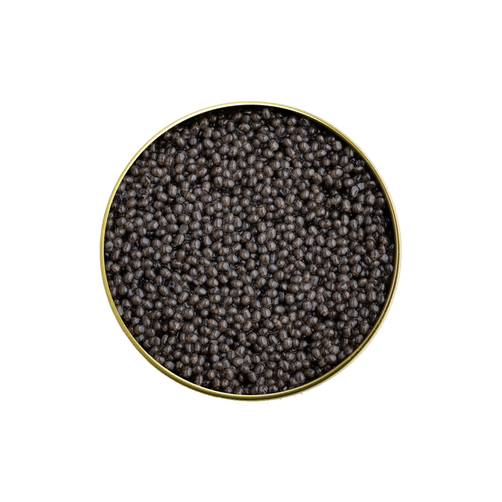 beluga sturgeon caviar
