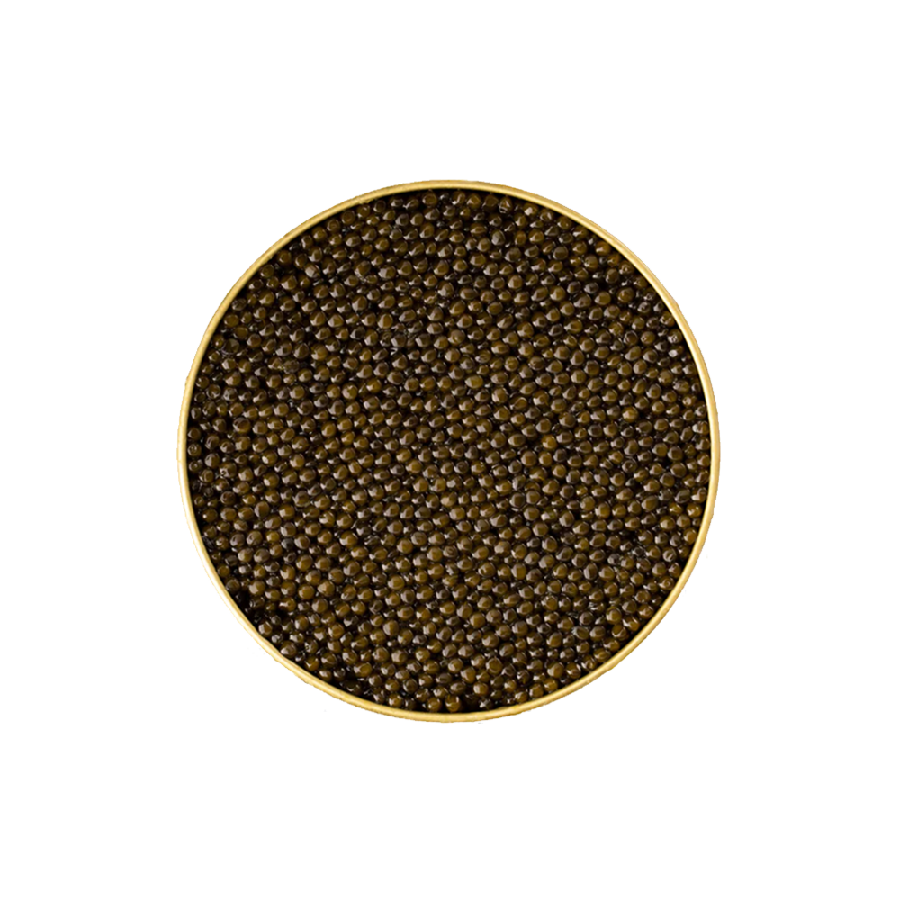 caviar