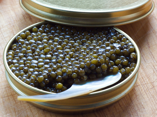sturgeon fish caviar