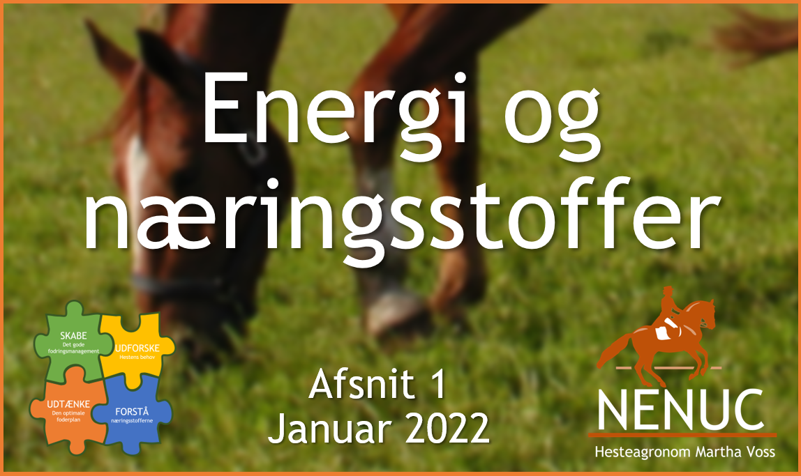 Energiens næringsstoffer